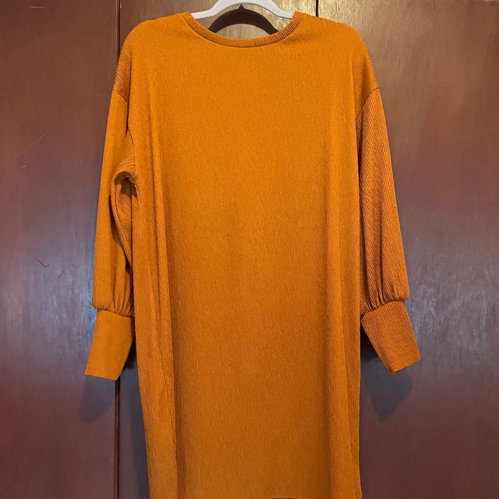 Zara Burnt Orange Dress